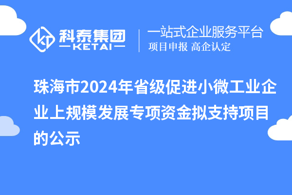 珠海市2024年省級(jí)促進(jìn)小微工業(yè)企業(yè)上規(guī)模發(fā)展專(zhuān)項(xiàng)資金擬支持項(xiàng)目的公示