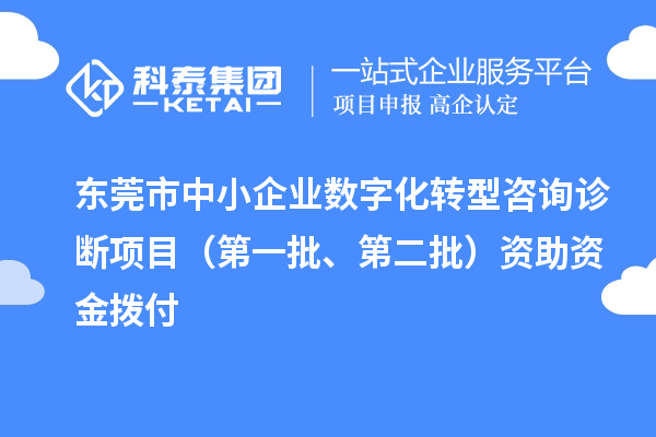 東莞市中小企業(yè)數(shù)字化轉(zhuǎn)型咨詢診斷項目（第一批、第二批）資助資金撥付