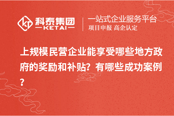 上規(guī)模民營企業(yè)能享受哪些地方政府的獎勵和補(bǔ)貼？有哪些成功案例？