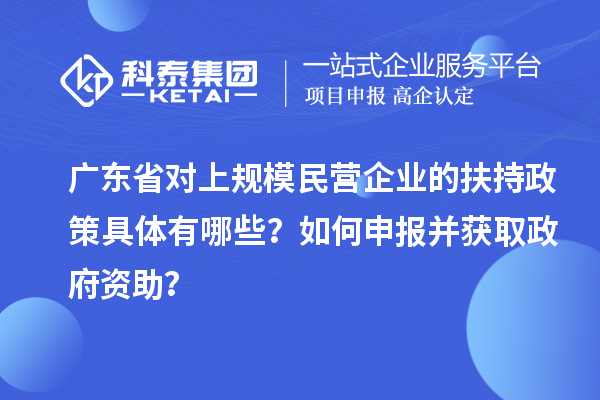 廣東省對上規(guī)模民營企業(yè)的扶持政策具體有哪些？如何申報并獲取政府資助？