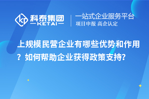 上規(guī)模民營企業(yè)有哪些優(yōu)勢和作用？如何幫助企業(yè)獲得政策支持？