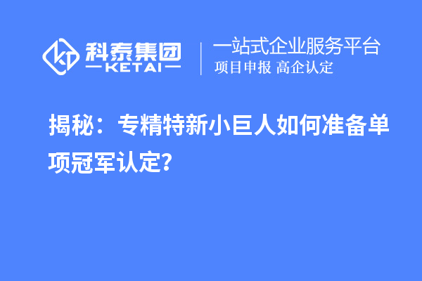 揭秘：專精特新小巨人如何準備單項冠軍認定？