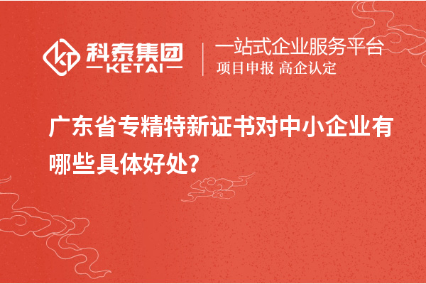 廣東省專精特新證書對中小企業(yè)有哪些具體好處？