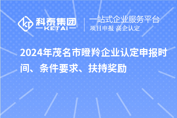 2024年茂名市瞪羚企業(yè)認(rèn)定申報(bào)時(shí)間、條件要求、扶持獎(jiǎng)勵(lì)