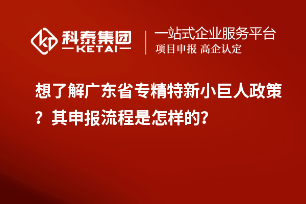 想了解廣東省專精特新小巨人政策？其申報流程是怎樣的？