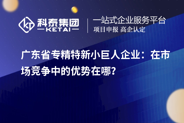 廣東省專精特新小巨人企業(yè)：在市場競爭中的優(yōu)勢在哪？