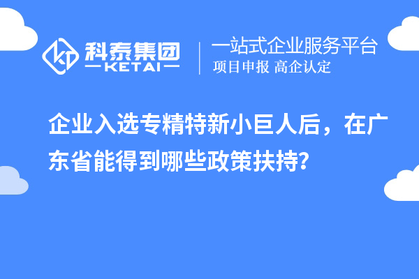 企業(yè)入選專精特新小巨人后，在廣東省能得到哪些政策扶持？