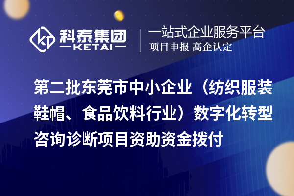 第二批東莞市中小企業(yè)（紡織服裝鞋帽、食品飲料行業(yè)）數(shù)字化轉(zhuǎn)型咨詢診斷項目資助資金撥付