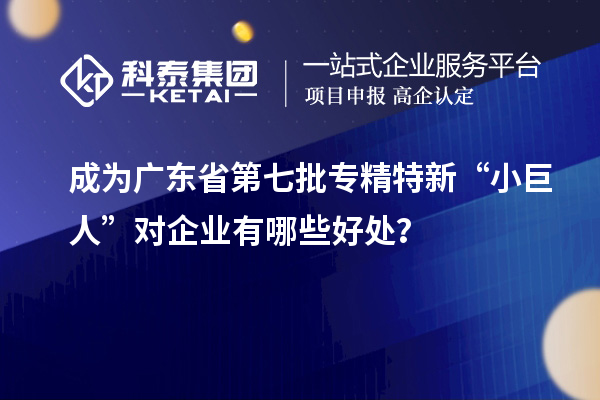 成為廣東省第七批專精特新“小巨人”對企業(yè)有哪些好處？