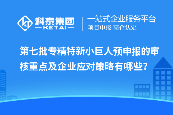 第七批專精特新小巨人預(yù)申報的審核重點及企業(yè)應(yīng)對策略有哪些？