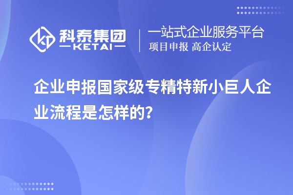企業(yè)申報國家級專精特新小巨人企業(yè)流程是怎樣的？