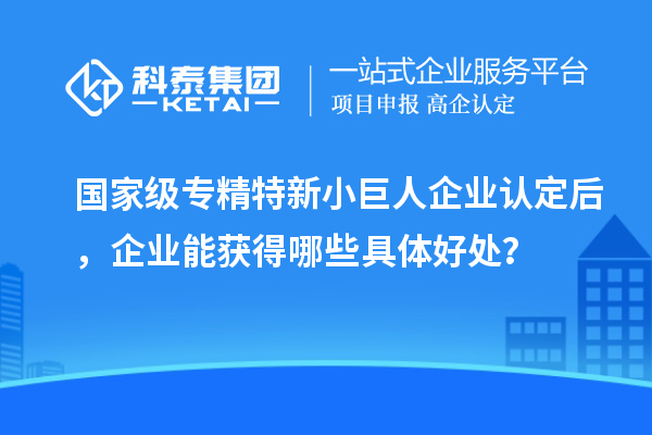 國家級專精特新小巨人企業(yè)認定后，企業(yè)能獲得哪些具體好處？