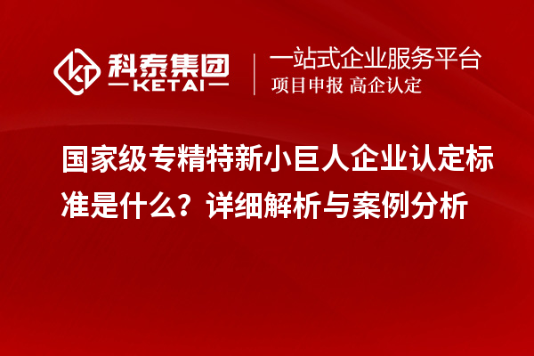 國家級專精特新小巨人企業(yè)認定標準是什么？詳細解析與案例分析