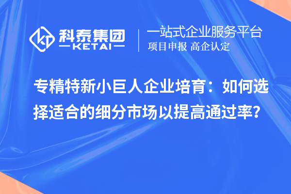 專精特新小巨人企業(yè)培育：如何選擇適合的細分市場以提高通過率？