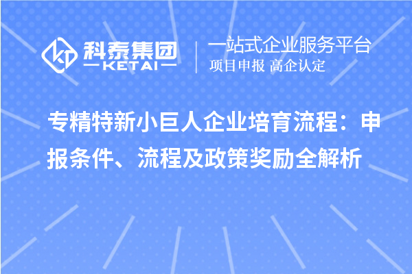 專精特新小巨人企業(yè)培育流程：申報條件、流程及政策獎勵全解析