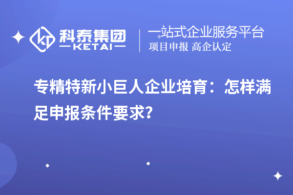 專精特新小巨人企業(yè)培育：怎樣滿足申報條件要求？