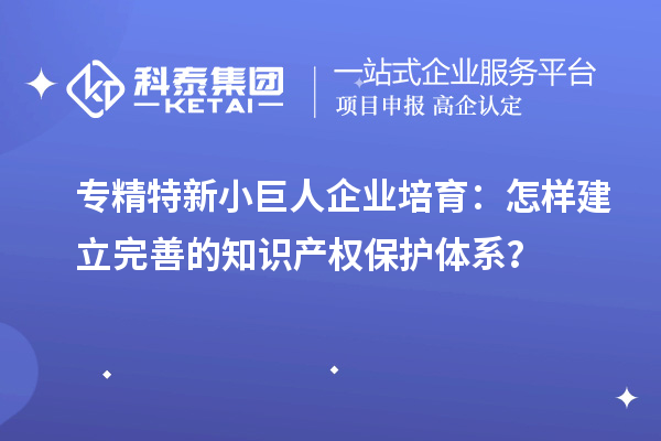 專精特新小巨人企業(yè)培育：怎樣建立完善的知識產(chǎn)權保護體系？