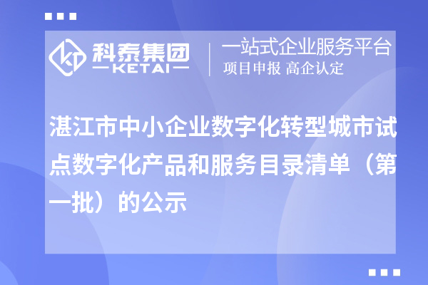 湛江市中小企業(yè)數(shù)字化轉型城市試點數(shù)字化產(chǎn)品和服務目錄清單（第一批）的公示