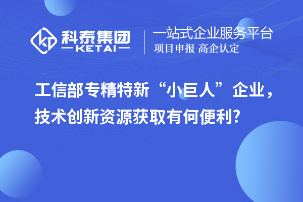 工信部專精特新 “小巨人” 企業(yè)，技術(shù)創(chuàng)新資源獲取有何便利?