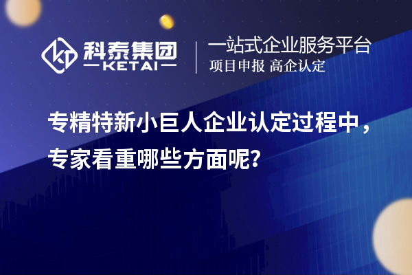 專精特新小巨人企業(yè)認(rèn)定過程中，專家看重哪些方面呢？