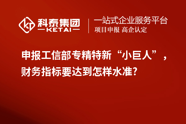 申報工信部專精特新 “小巨人”，財務(wù)指標(biāo)要達(dá)到怎樣水準(zhǔn)?