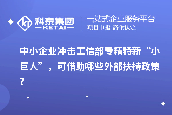 中小企業(yè)沖擊工信部專(zhuān)精特新 “小巨人”，可借助哪些外部扶持政策?
