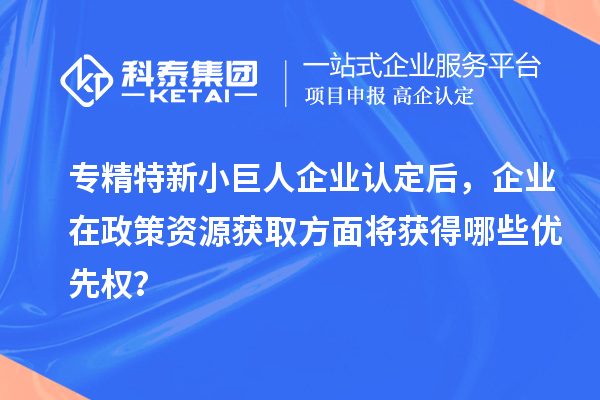 專(zhuān)精特新小巨人企業(yè)認(rèn)定后，企業(yè)在政策資源獲取方面將獲得哪些優(yōu)先權(quán)？