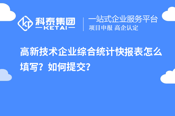 高新技術(shù)企業(yè)綜合統(tǒng)計(jì)快報(bào)表怎么填寫？如何提交？