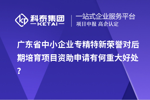 廣東省中小企業(yè)專精特新榮譽(yù)對后期培育項(xiàng)目資助申請有何重大好處？