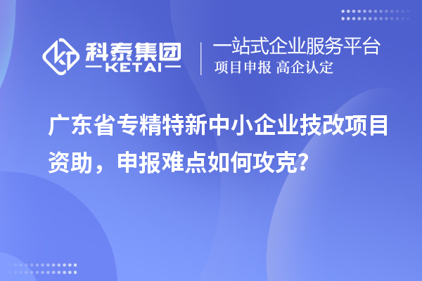 廣東省專精特新中小企業(yè)技改項目資助，申報難點如何攻克？
