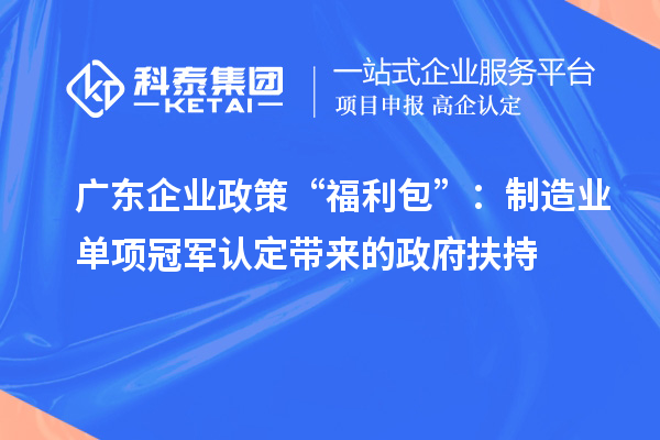 廣東企業(yè)政策“福利包”：制造業(yè)單項(xiàng)冠軍認(rèn)定帶來(lái)的政府扶持
