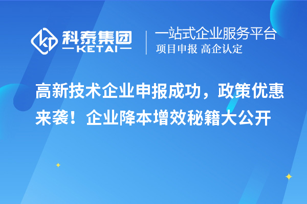 高新技術(shù)企業(yè)申報成功，政策優(yōu)惠來襲！企業(yè)降本增效秘籍大公開