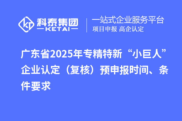 廣東省2025年專精特新“小巨人”企業(yè)認定（復核）預申報時間、條件要求