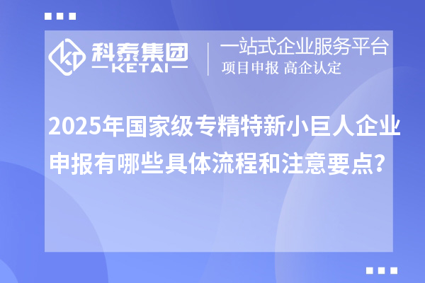2025年國家級專精特新小巨人企業(yè)申報有哪些具體流程和注意要點？