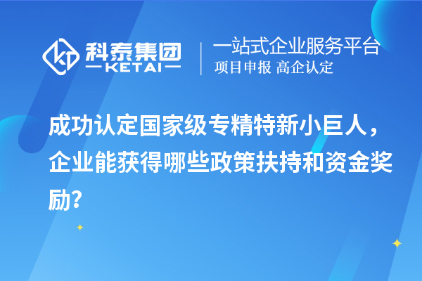 成功認定國家級專精特新小巨人，企業(yè)能獲得哪些政策扶持和資金獎勵？