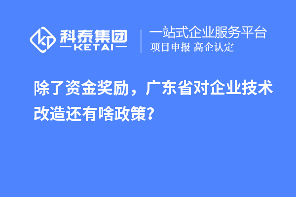 除了資金獎(jiǎng)勵(lì)，廣東省對(duì)企業(yè)技術(shù)改造還有啥政策？
