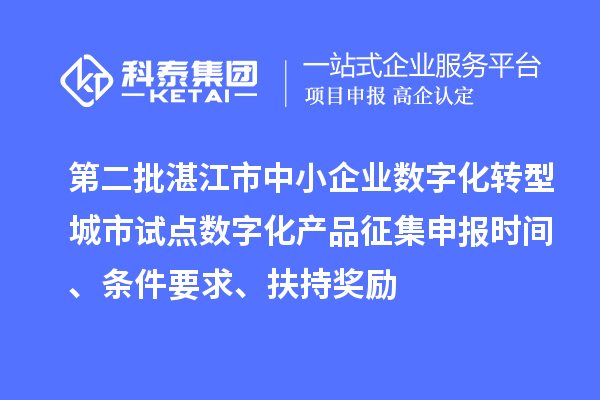第二批湛江市中小企業(yè)數(shù)字化轉型城市試點數(shù)字化產(chǎn)品征集申報時間、條件要求、扶持獎勵
