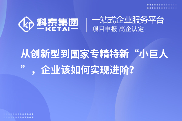 從創(chuàng)新型到國家專精特新“小巨人”，企業(yè)該如何實現(xiàn)進階？