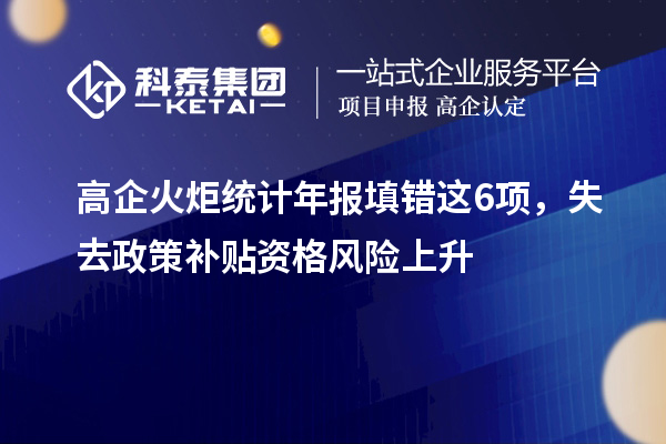 高企火炬統(tǒng)計(jì)年報(bào)填錯(cuò)這6項(xiàng)，失去政策補(bǔ)貼資格風(fēng)險(xiǎn)上升