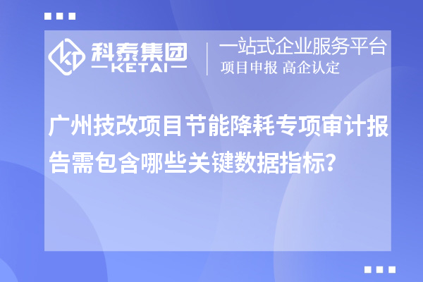 廣州技改項目節(jié)能降耗專項審計報告需包含哪些關(guān)鍵數(shù)據(jù)指標？