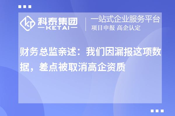 財(cái)務(wù)總監(jiān)親述：我們因漏報(bào)這項(xiàng)數(shù)據(jù)，差點(diǎn)被取消高企資質(zhì)