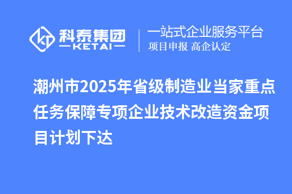 潮州市2025年省級制造業(yè)當(dāng)家重點(diǎn)任務(wù)保障專項企業(yè)技術(shù)改造資金項目計劃下達(dá)