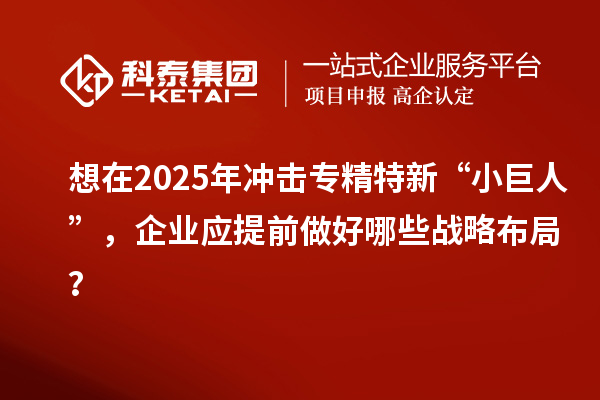 想在2025年沖擊專精特新 “小巨人”，企業(yè)應(yīng)提前做好哪些戰(zhàn)略布局？