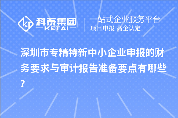 深圳市專精特新中小企業(yè)申報的財務(wù)要求與審計報告準備要點有哪些？