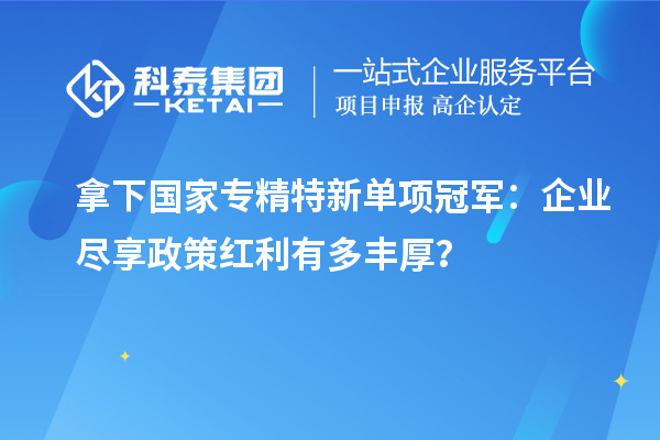 拿下國家專精特新單項冠軍：企業(yè)盡享政策紅利有多豐厚？