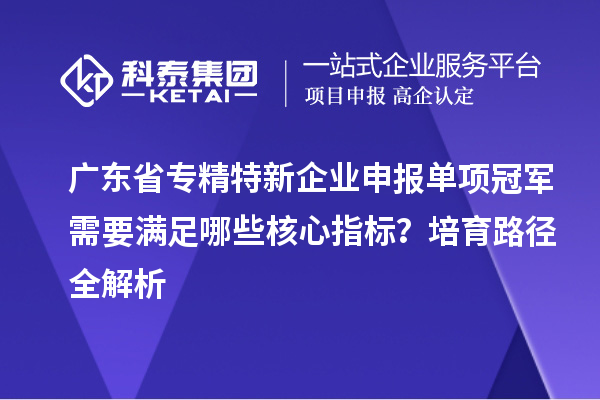 廣東省專精特新企業(yè)申報(bào)單項(xiàng)冠軍需要滿足哪些核心指標(biāo)？培育路徑全解析