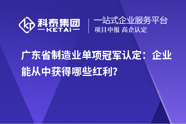 廣東省制造業(yè)單項冠軍認定：企業(yè)能從中獲得哪些紅利？