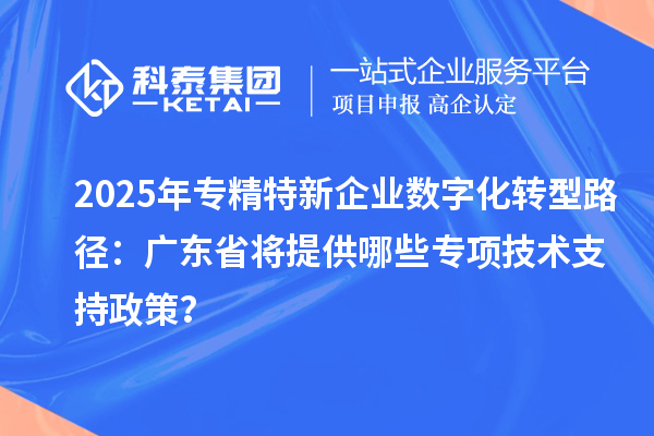 2025年專精特新企業(yè)數(shù)字化轉(zhuǎn)型路徑：廣東省將提供哪些專項技術(shù)支持政策？