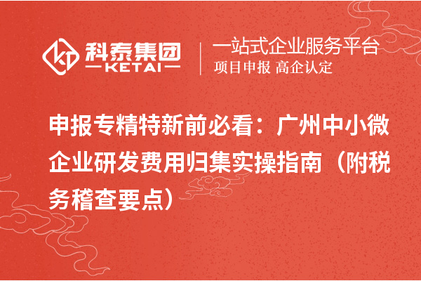 申報(bào)專精特新前必看：廣州中小微企業(yè)研發(fā)費(fèi)用歸集實(shí)操指南（附稅務(wù)稽查要點(diǎn)）