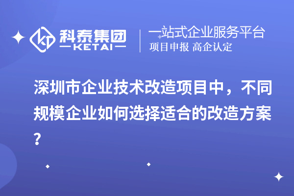 深圳市企業(yè)技術改造項目中，不同規(guī)模企業(yè)如何選擇適合的改造方案？